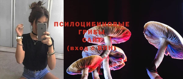 прущие крисы Зерноград