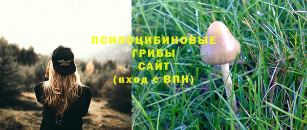 тгк Заводоуковск
