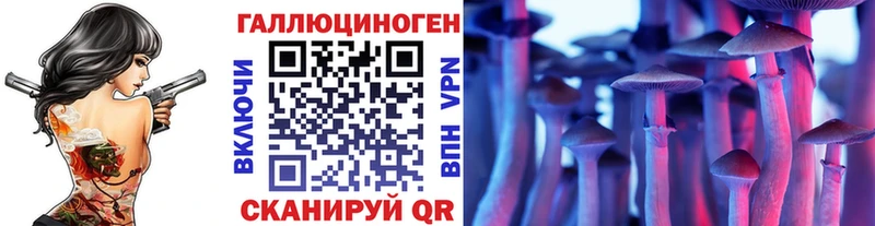 Купить закладки  Сосновый Бор  Псилоцибиновые грибы GOLDEN TEACHER 