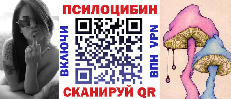 Галлюциногенные грибы Psilocybine cubensis Сосновый Бор